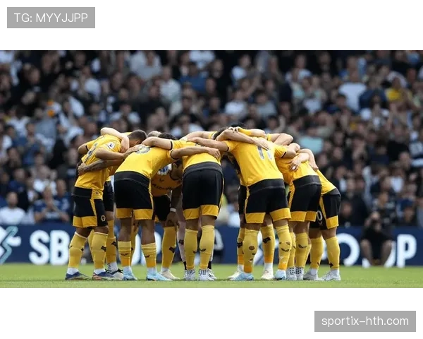 内维斯与罗德里：控场后腰的战术角色差异解析